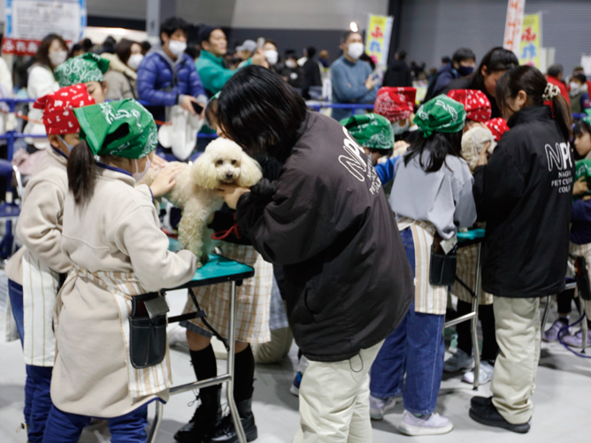 わんにゃんドーム2025で開催されたイベントの様子