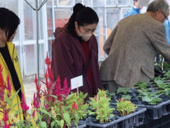 NAFIC祭:栽培のポイントを説明しながら花苗を販売します。
