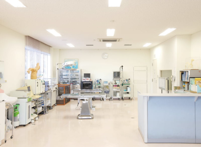 動物病院実習室