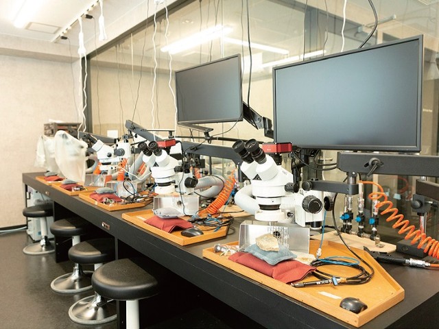 ＴＣＡ東京ＥＣＯ動物海洋専門学校のオープンキャンパス