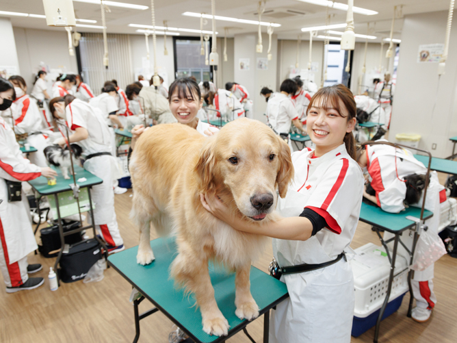 横浜動物専門学校のcampusgallery