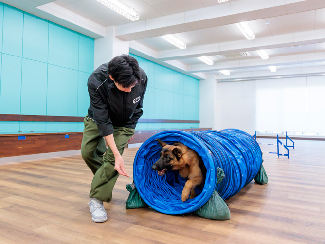名古屋ＥＣＯ動物海洋専門学校のcampusgallery