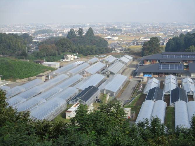 実習ほ場(池之内校舎):奈良県の特徴的な農産物生産を実習できる露地・施設で学生自ら作物を栽培管理します。