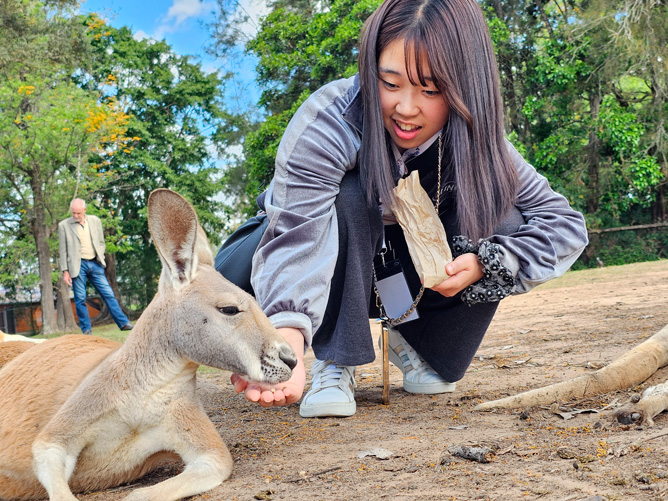 現地でしかふれあえない動物ともたくさん会うことができます。