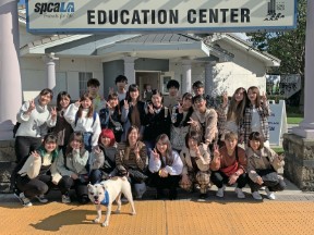 【アメリカ研修】動物の保護や里親探しだけではなく、虐待防止パトロールや教育活動を行っている動物愛護施設SPCALA訪問