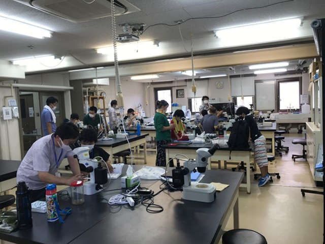 第4回　地域共修イベント　浅虫海洋生物学教育研究センターへ行こう！1