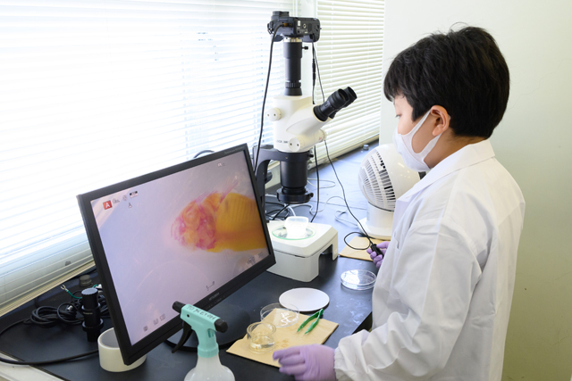 ひらめき☆ときめきサイエンス－金沢医科大学プログラム－
「からだを透かして見てみよう　－透明人間できるかな？－2025」3