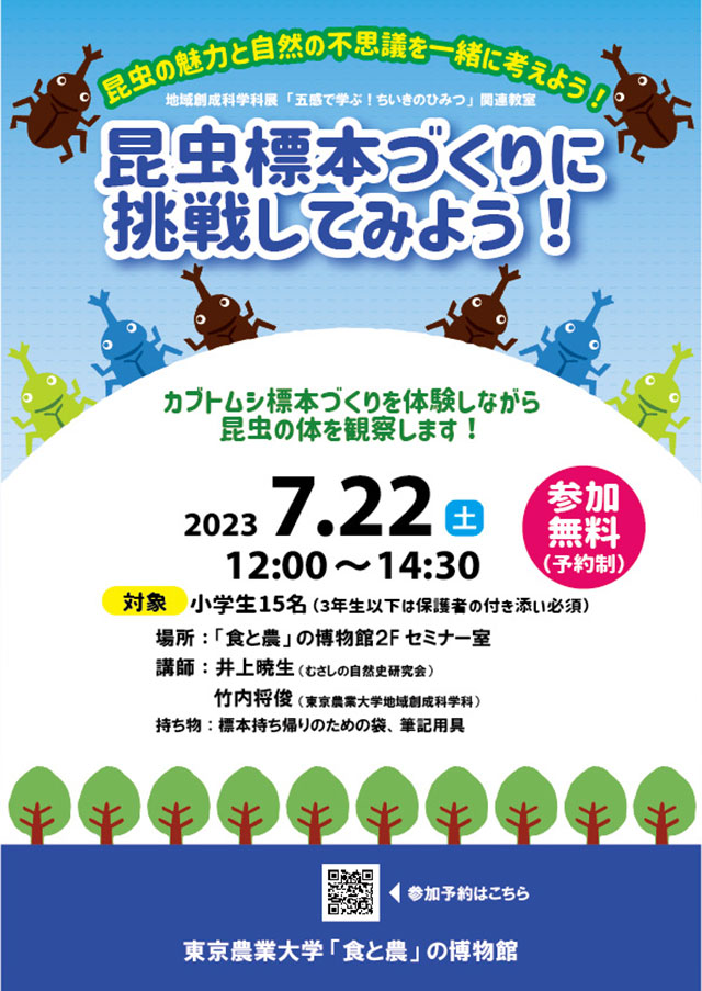 昆虫標本づくりに挑戦してみよう！1